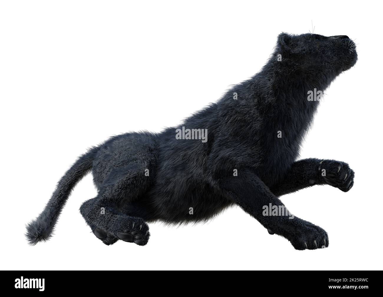 3D Rendering Pantera nero su bianco Foto Stock