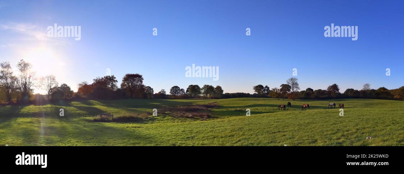 Bellissimo panorama ad alta risoluzione di un paesaggio di campagna del nord europa con campi e erba verde Foto Stock