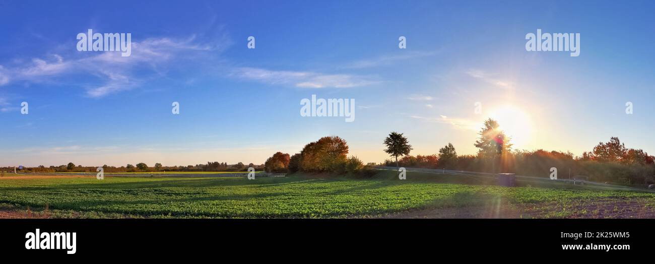 Bellissimo panorama ad alta risoluzione di un paesaggio di campagna del nord europa con campi e erba verde Foto Stock