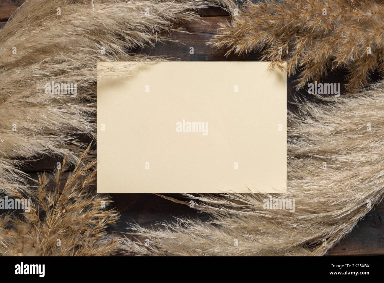 Scheda di carta bianca vicino erba di Pampas essiccata su vista dall'alto di legno marrone. Boho beffardo Foto Stock