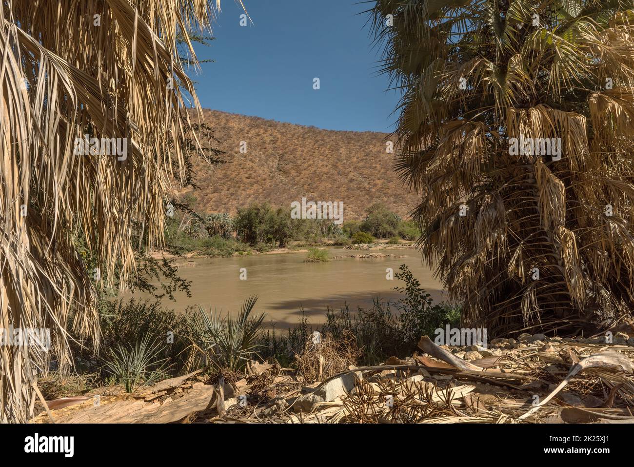 Paesaggio sul fiume Kunene, fiumi di confine della Namibia e Angola, Epupa, Namibia Foto Stock