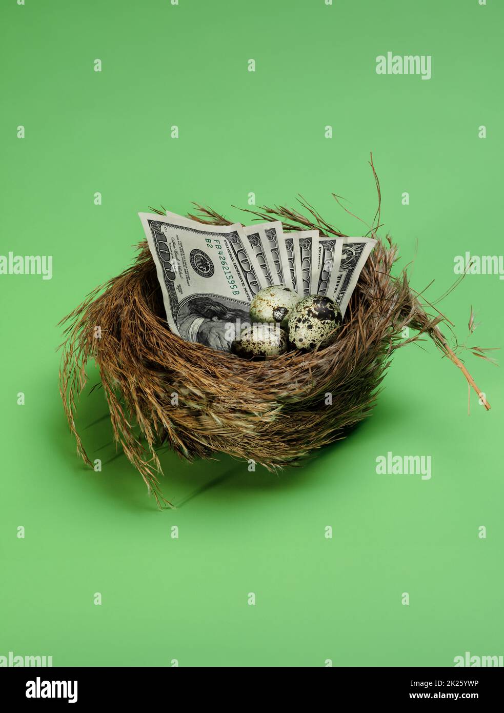 Un vero uovo di Nest Foto Stock