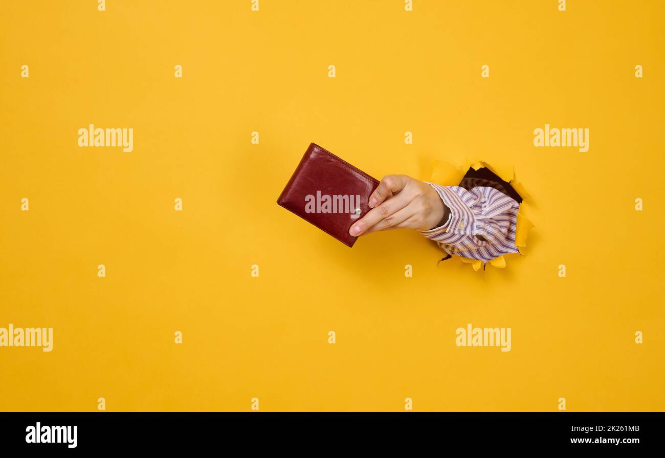 la mano tiene un portafoglio in pelle marrone su uno sfondo giallo, una parte del corpo sporge da un foro strappato nella carta Foto Stock