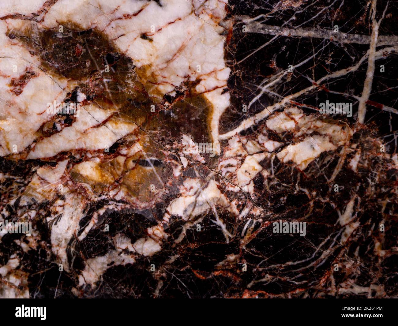 sfondo astratto, trama creativa di marmo e foglio d'oro, marmorizzatura decorativa, pietra artificiale alla moda Foto Stock