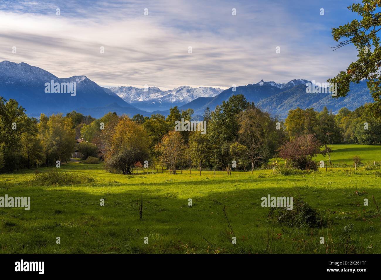 Prato a Murnau con vista sulle alpi Foto Stock