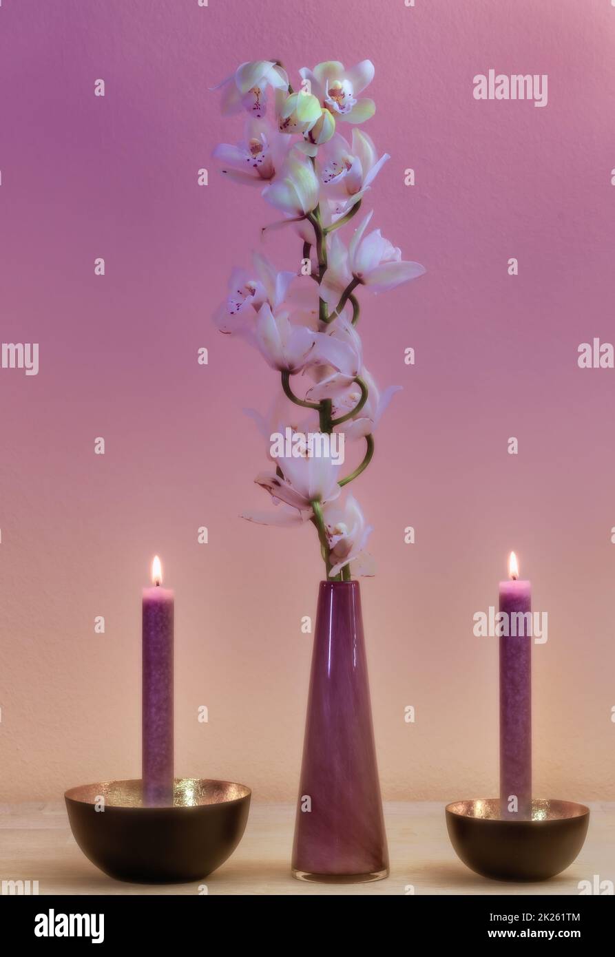 Fiore di orchidea in vaso viola e due candele Foto Stock