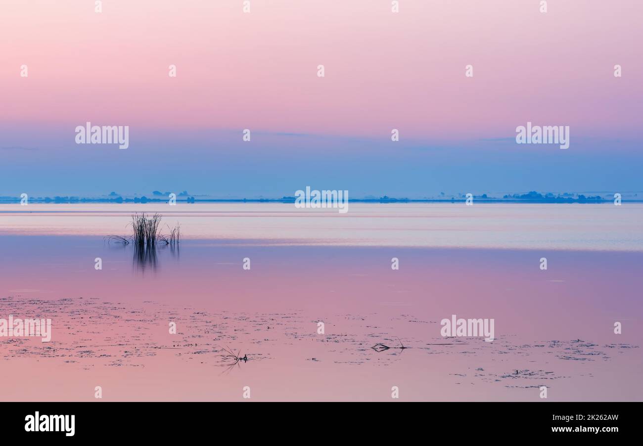 Lilla Pink Seascape con dolce Alba al lago calmo Foto Stock