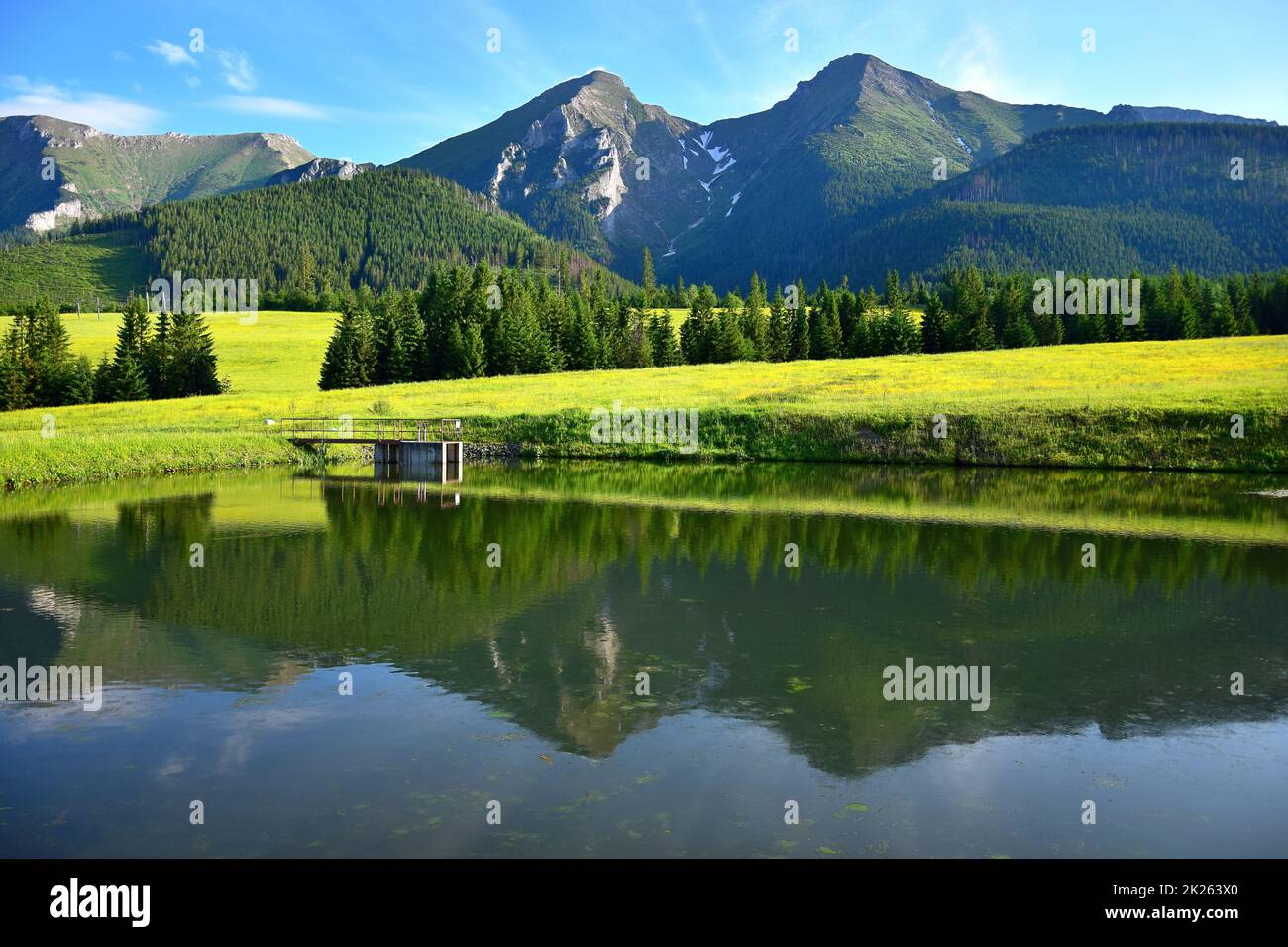 Havran e Zdiarska vidla, le due montagne più alte del Tatry di Belianske. Uno stagno e un prato fiorito di fronte. Slovacchia. Foto Stock