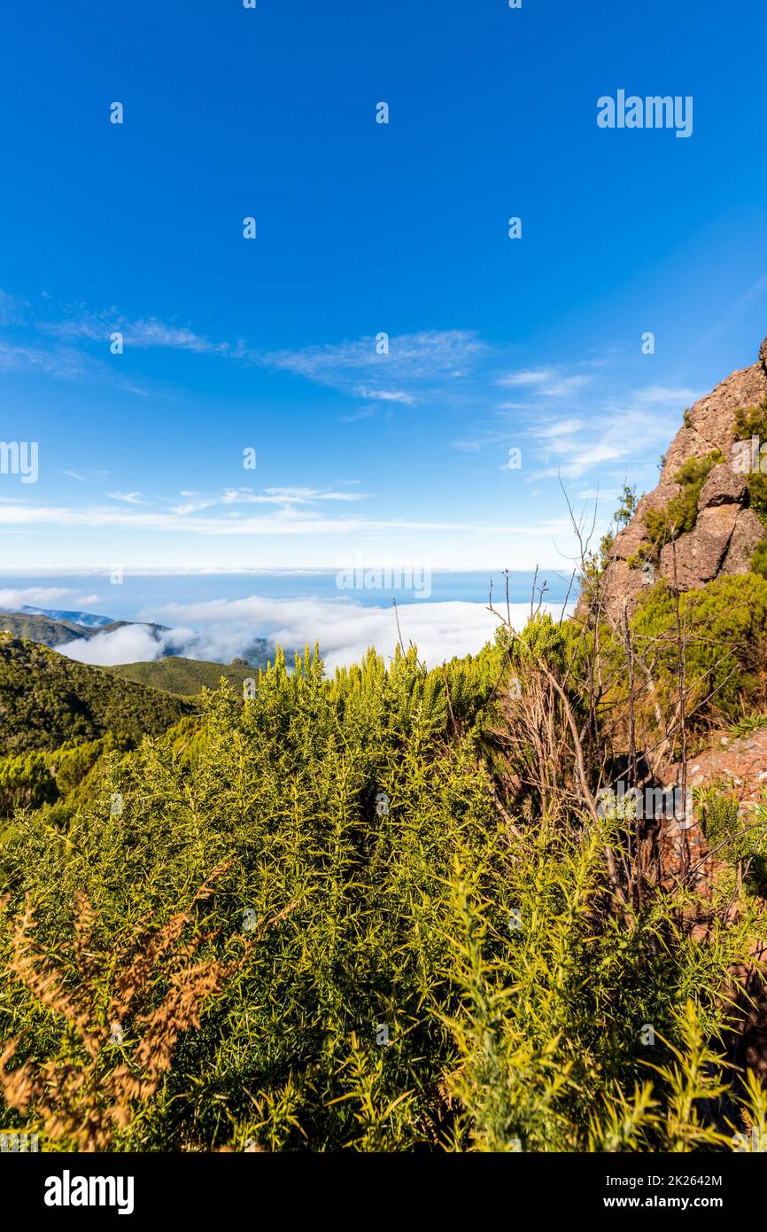 Achada do Teixeira sull'isola di Madeira Foto Stock