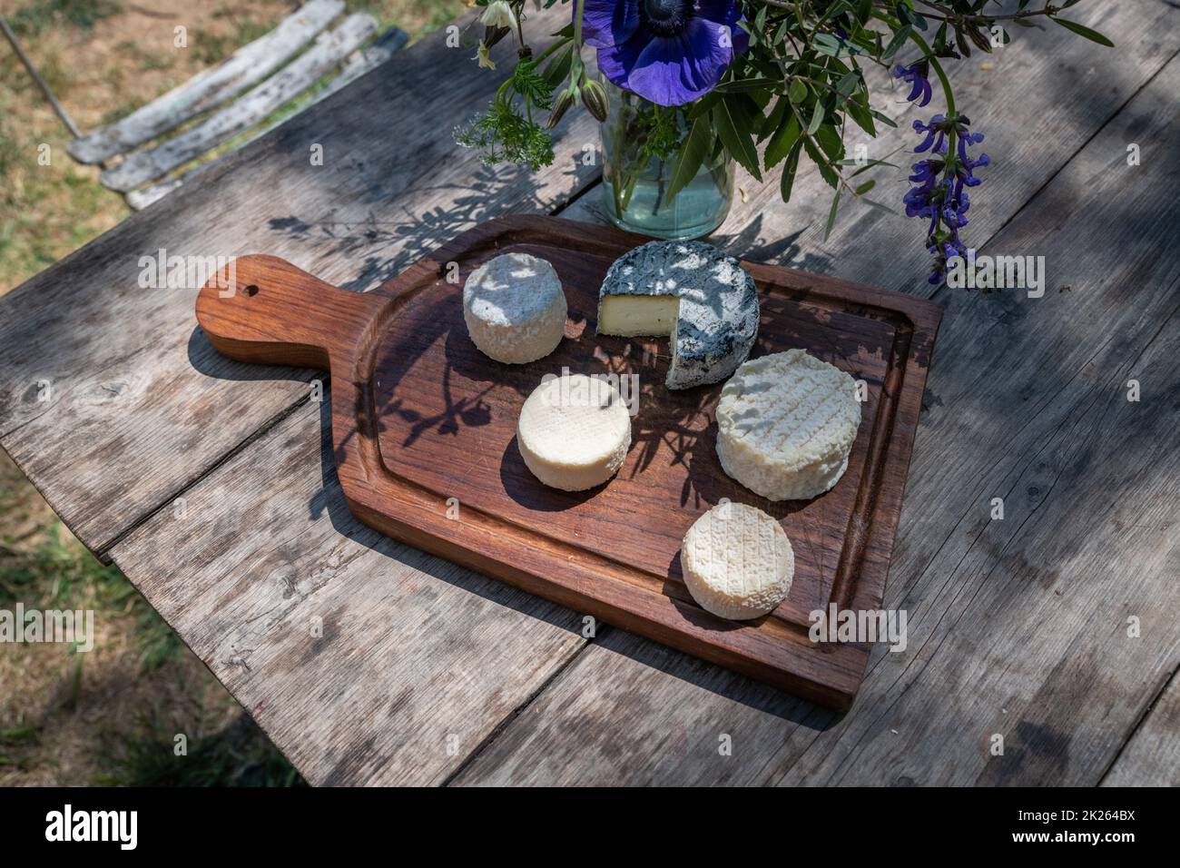 Buona giornata con un buon formaggio da mangiare in giardino Foto Stock