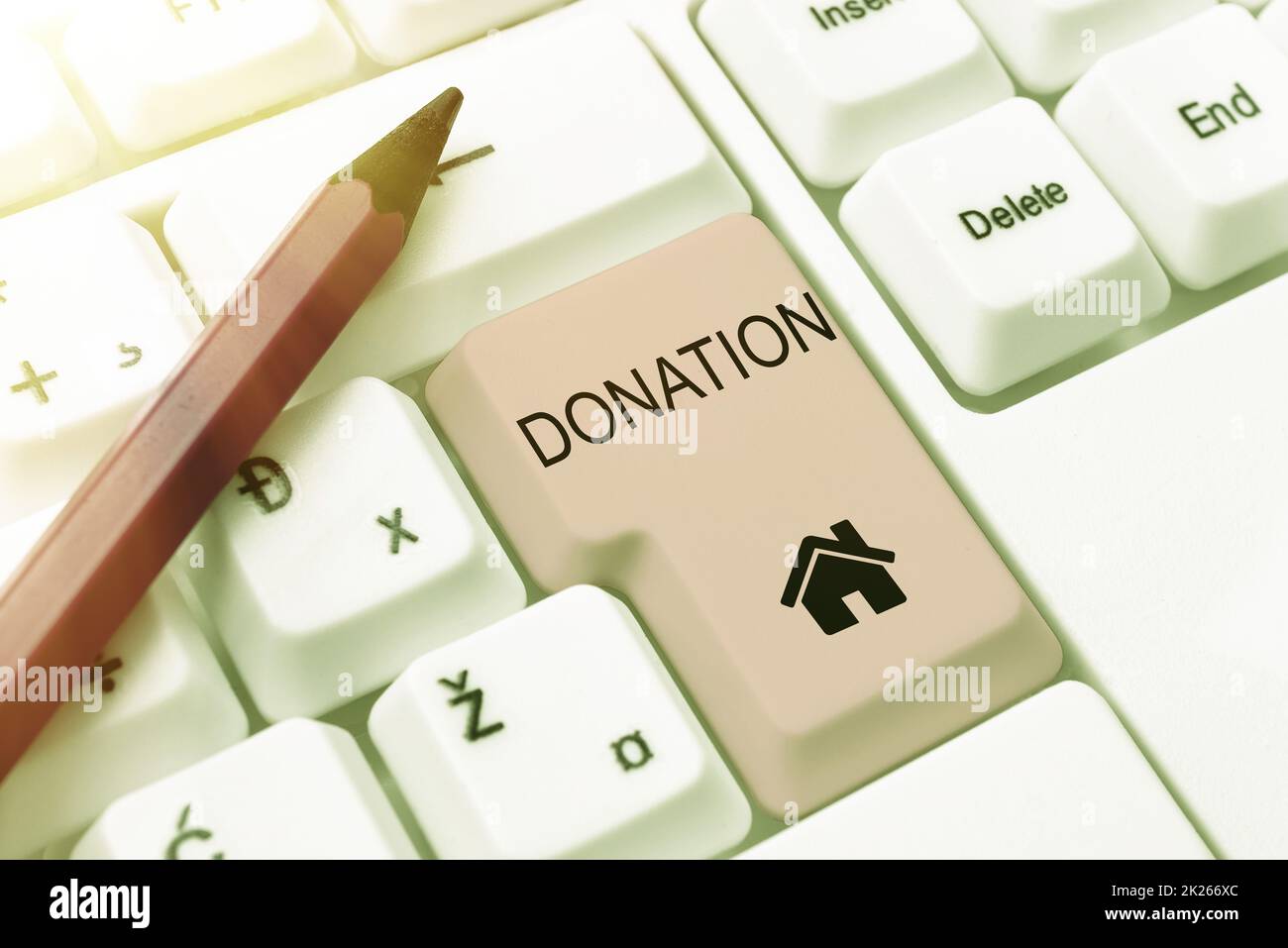 Ispirazione che mostra la donazione di segni. Idea di affari qualcosa che è dato ad una carità, particolarmente una somma di soldi che digita i codici di programma del firewall, le regole di scrittura e il libro di regolamenti Foto Stock