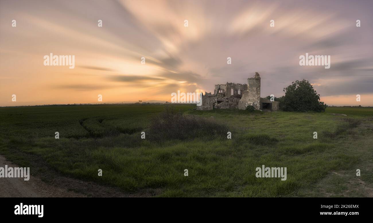 Casa in una rovina tra risaie prima della vendemmia. Albufera Valencia Foto Stock