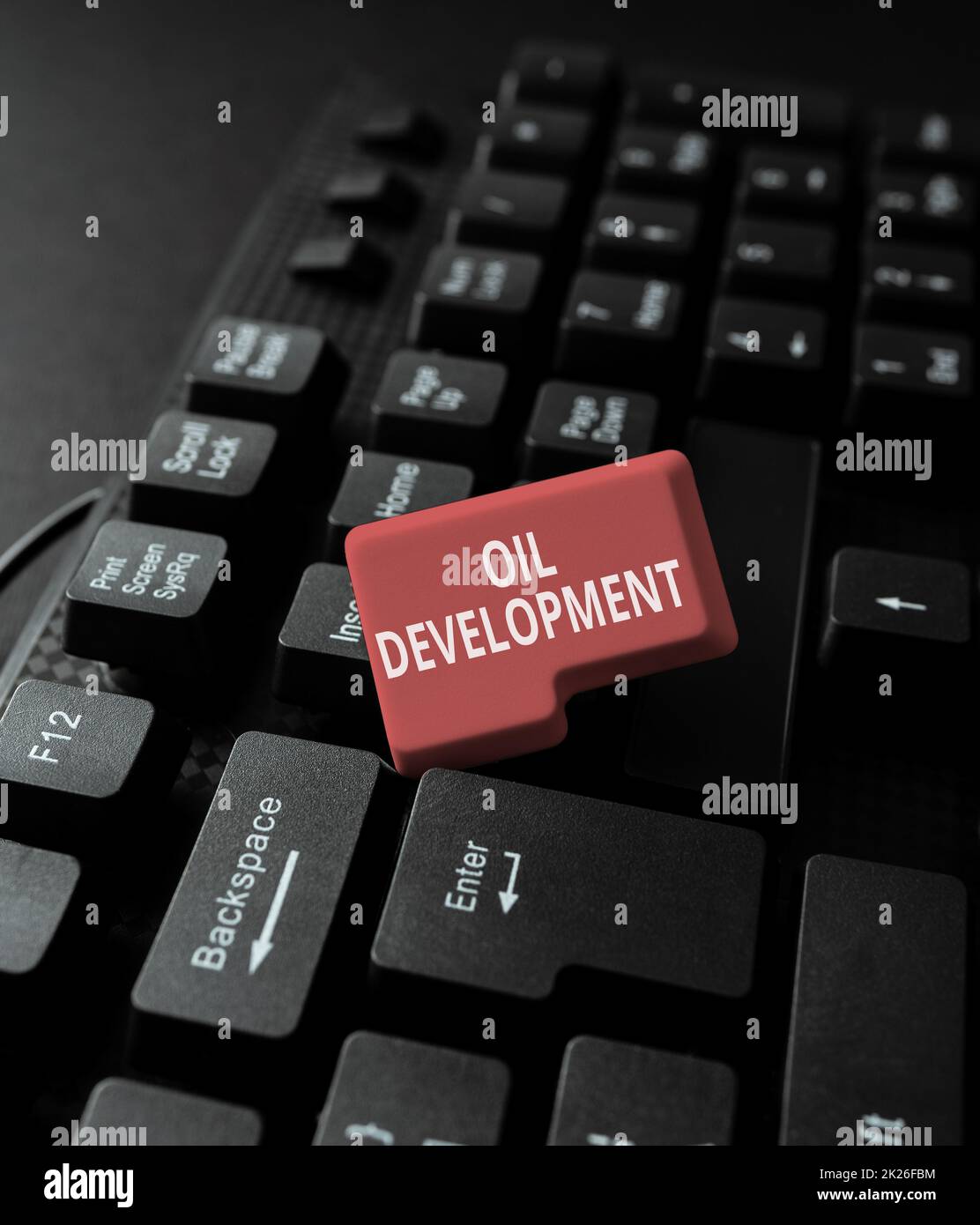 Ispirazione che mostra il segno sviluppo del petrolio. Foto concettuale atto o processo di esplorare un'area su terra o mare per la tipizzazione di olio titolo e descrizioni del prodotto, immettendo importanti codici di dati Foto Stock