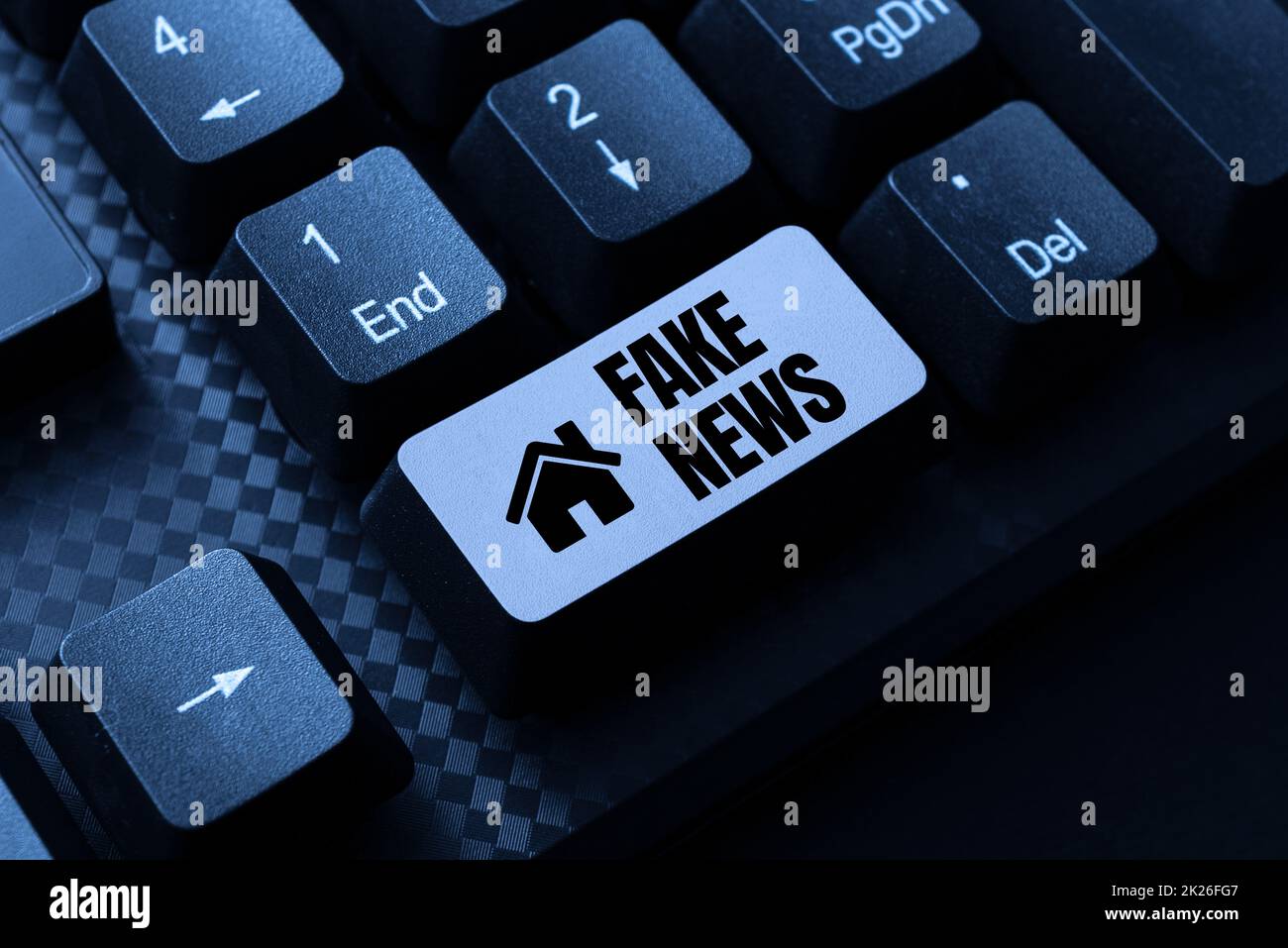 Ispirazione mostrando segno Fake News. Word for false informazioni pubblicare sotto la scusa di essere autentiche notizie editing New Story Title, digitando presentazione online Prompter Notes Foto Stock