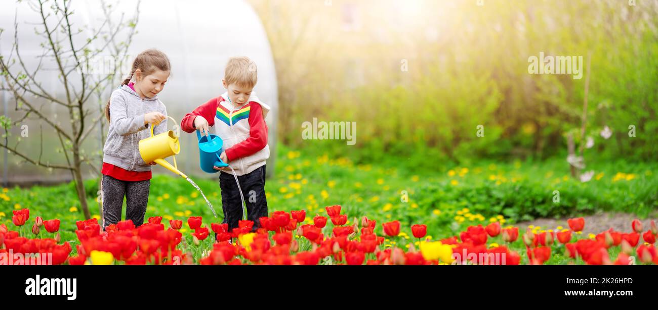 Due bambini carini che innaffia fiori in giardino Foto Stock