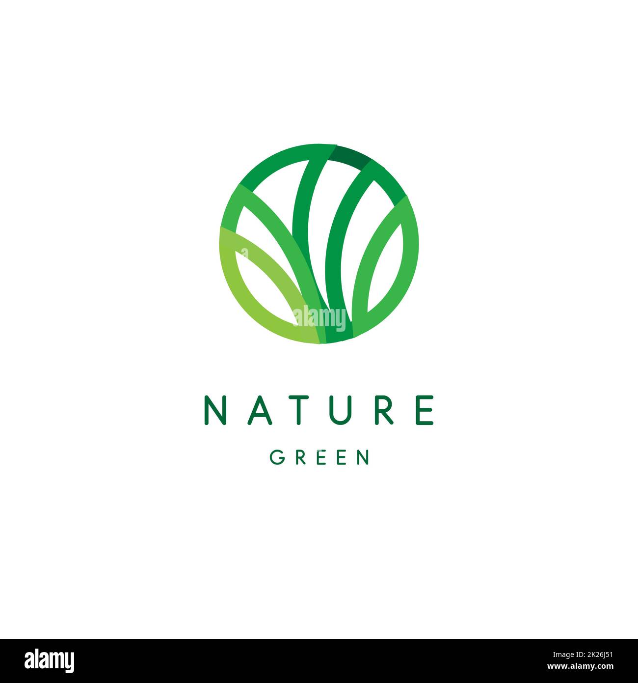 Logo della natura, verde tropicale, lascia icona, linea stilizzata, emblema tondo, design moderno, chioma logotipo modello Foto Stock