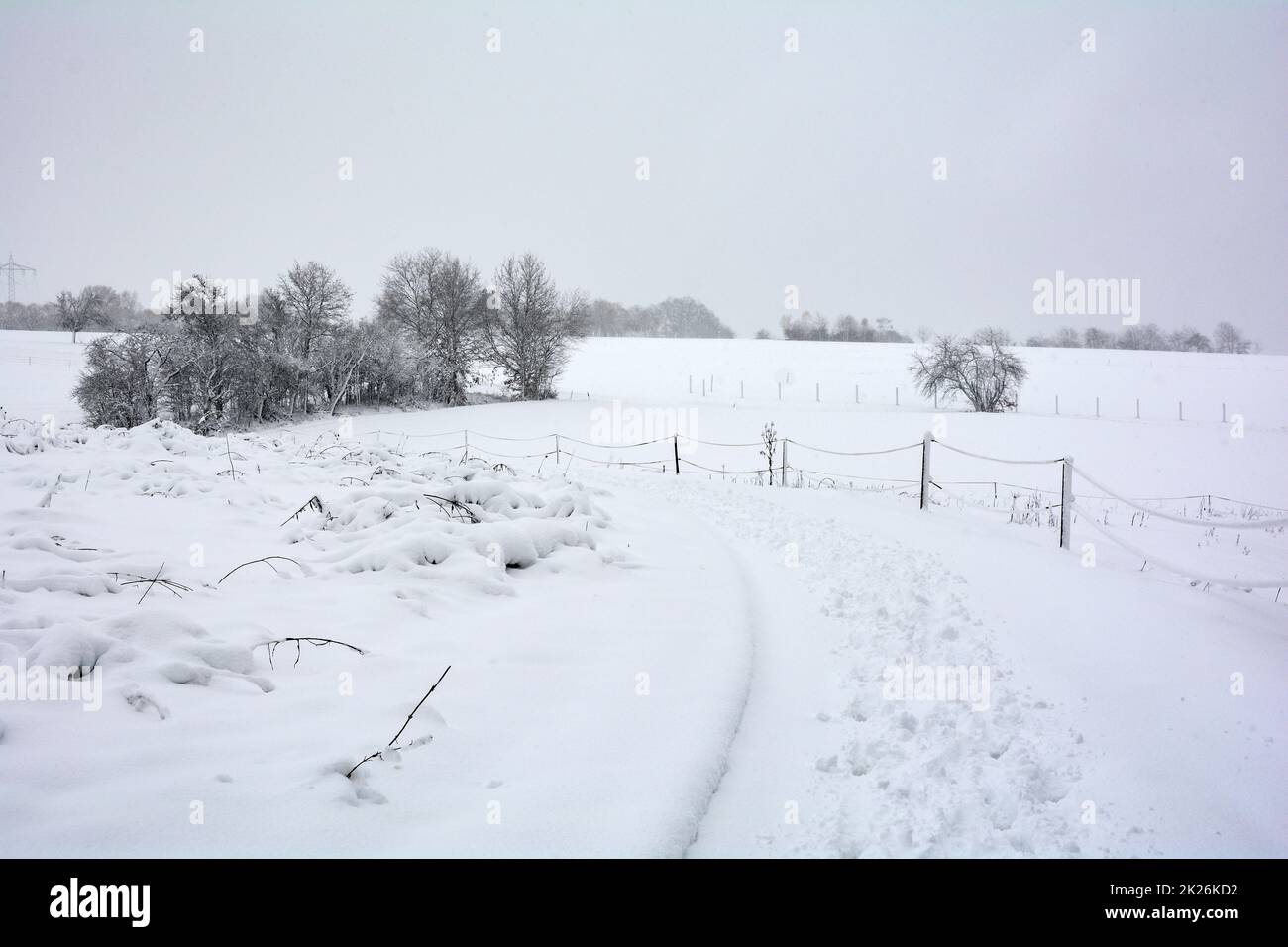 Paesaggio invernale con recinzione, alberi e neve Foto Stock