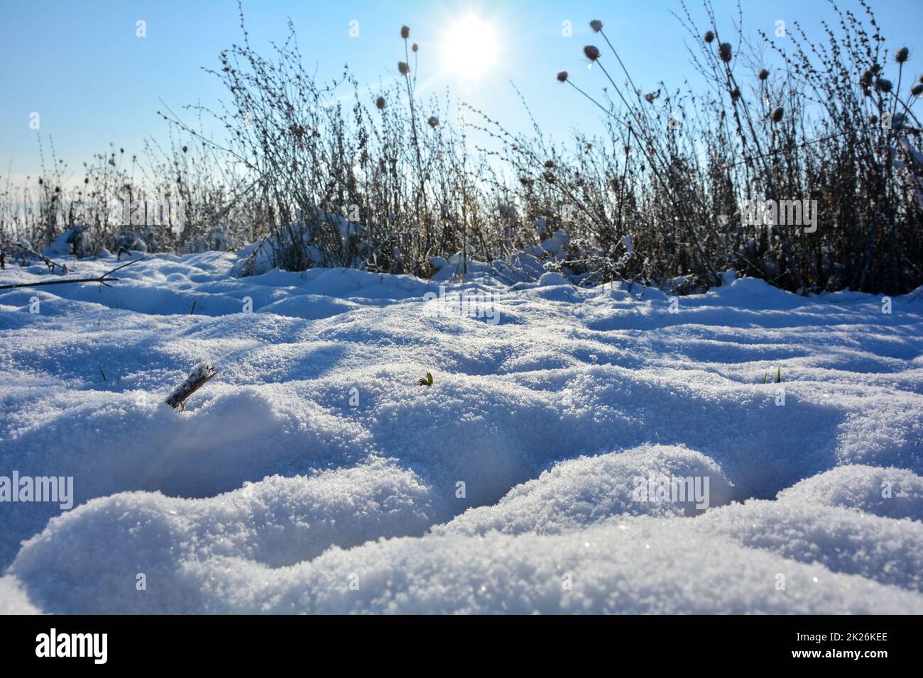 Molta neve con erba alta e sole Foto Stock