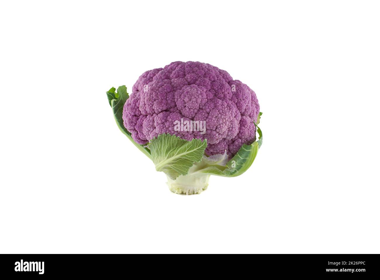 Cavolfiore viola fresco colorato isolato su bianco Foto Stock