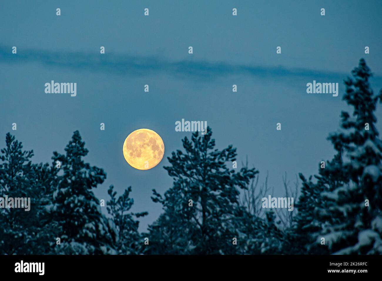 Luna piena sullo sfondo di un paesaggio invernale Foto Stock