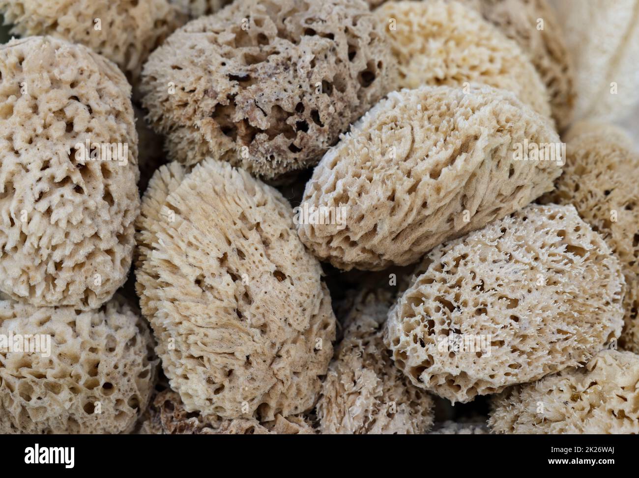 Spugne naturali nel mercato locale. Rethymnon, Creta , Grecia Foto Stock