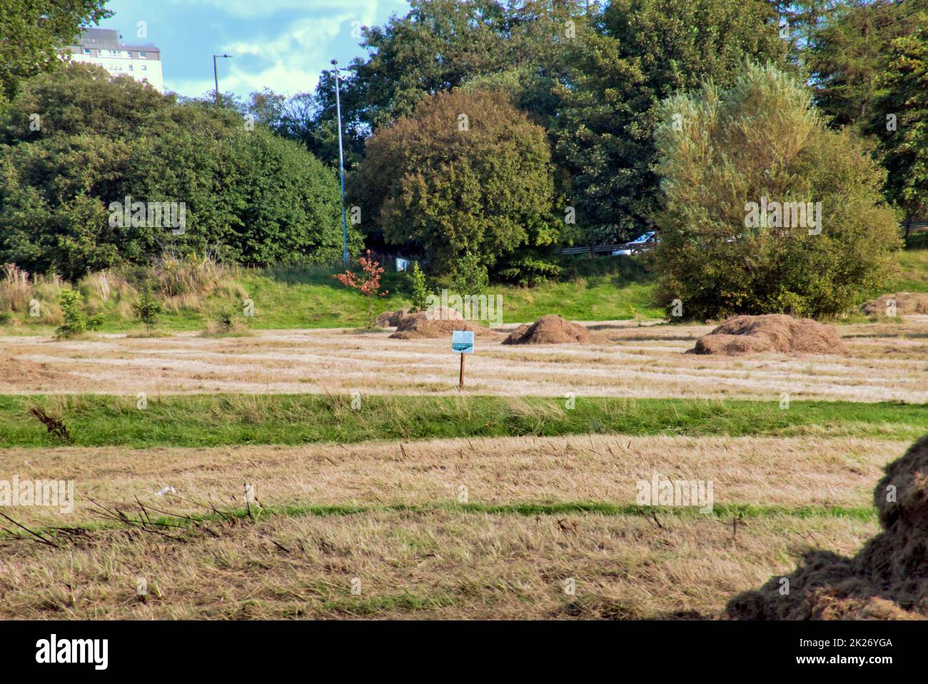 Glasgow, Scozia, Regno Unito 22nd settembre 2022. Un'area di terra di macchia tra il canale Forth e clyde percorso di rimorchio e la grande strada occidentale A82 è trattore tagliato pronto per riappassire naturalmente per i fiori selvatici e le piante adatte per api e insetti nel quadro del programma di spazio verde. Credit Gerard Ferry/Alamy Live News Foto Stock