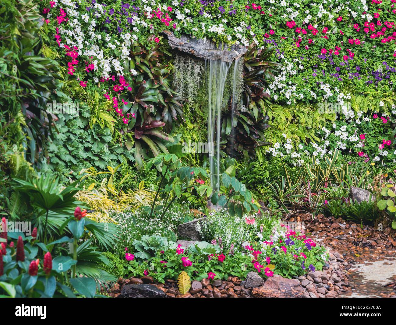 Parete verde verticale del giardino a foglia con cascata. Foto Stock
