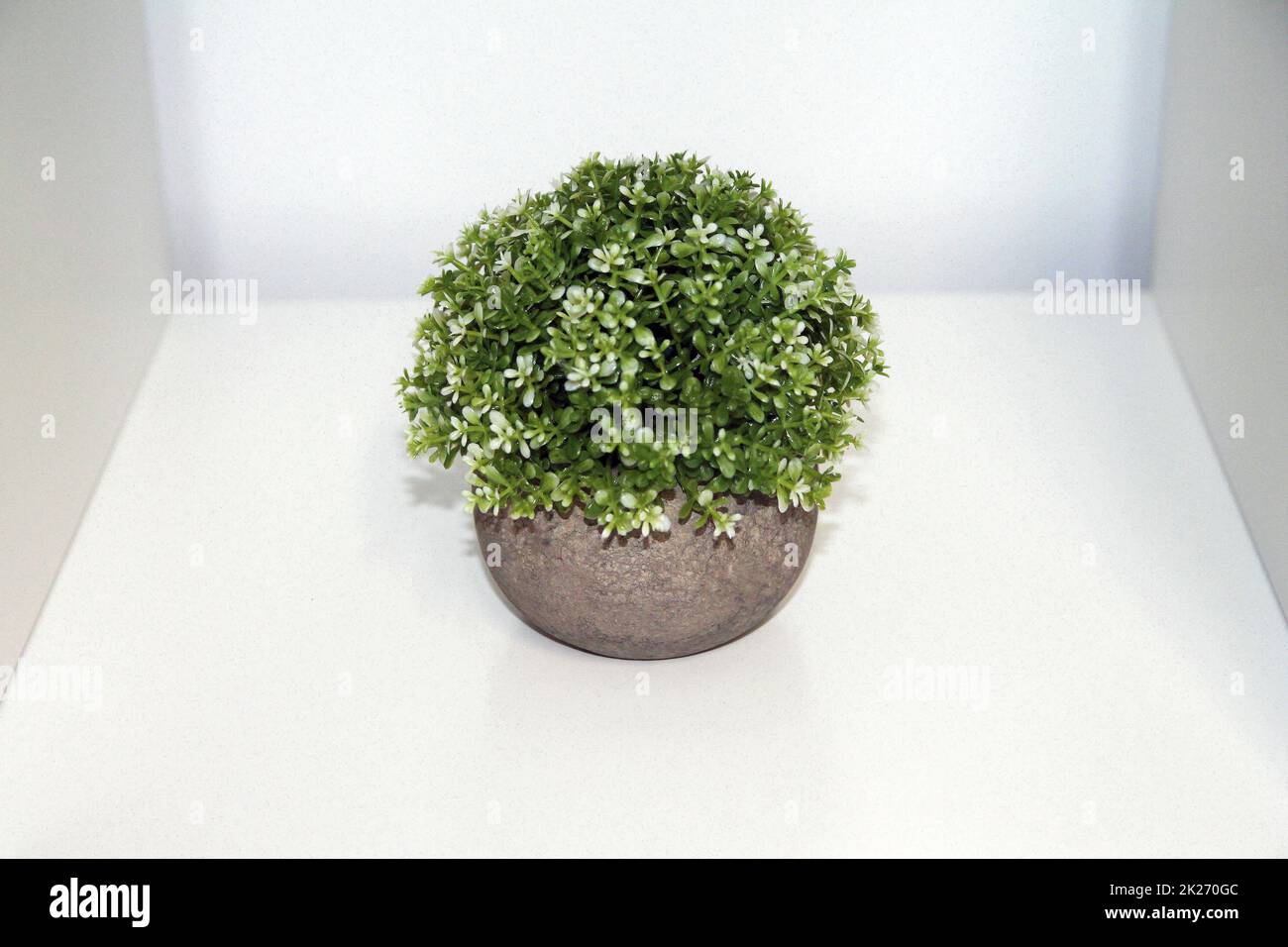 Una pianta artificiale verde isolata con fiori e vaso grigio Foto Stock