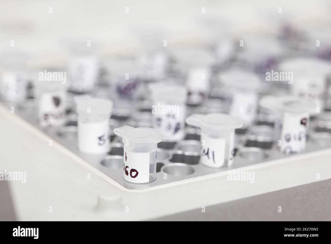 Chiusura delle provette in un blocco di termociclatore in un laboratorio di biologia molecolare. Tecnica di reazione a catena della polimerasi. Tecnica PCR Foto Stock