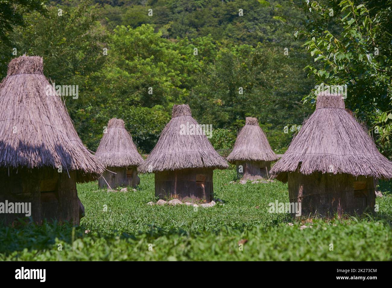 Alveari di api con tetti di paglia in fila tra gli alberi. Foto Stock