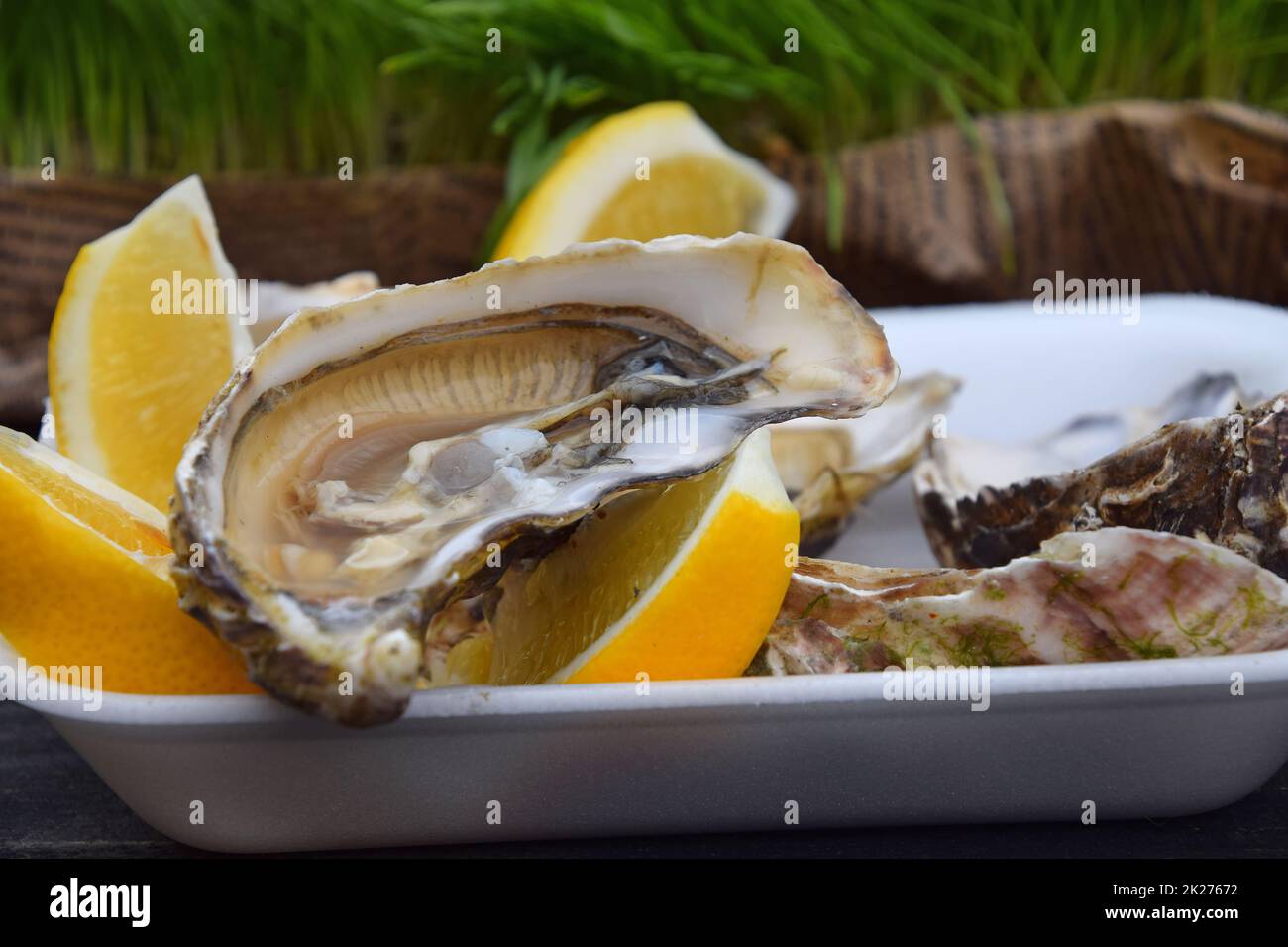 Porzione di ostriche fresche aperte con limone Foto Stock