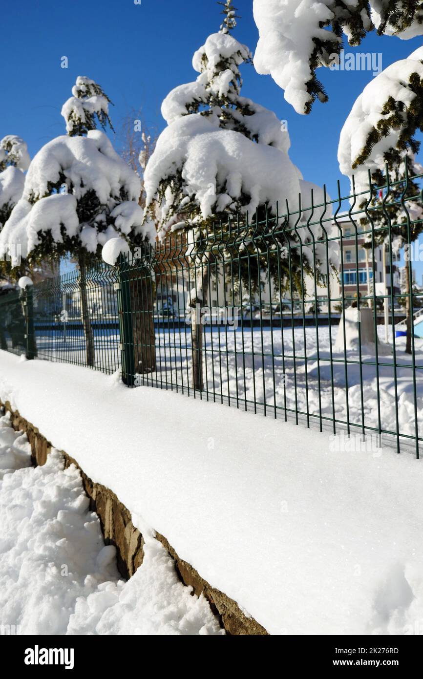 foto di paesaggi innevati, neve e pini che si accumulano sulla parete Foto Stock