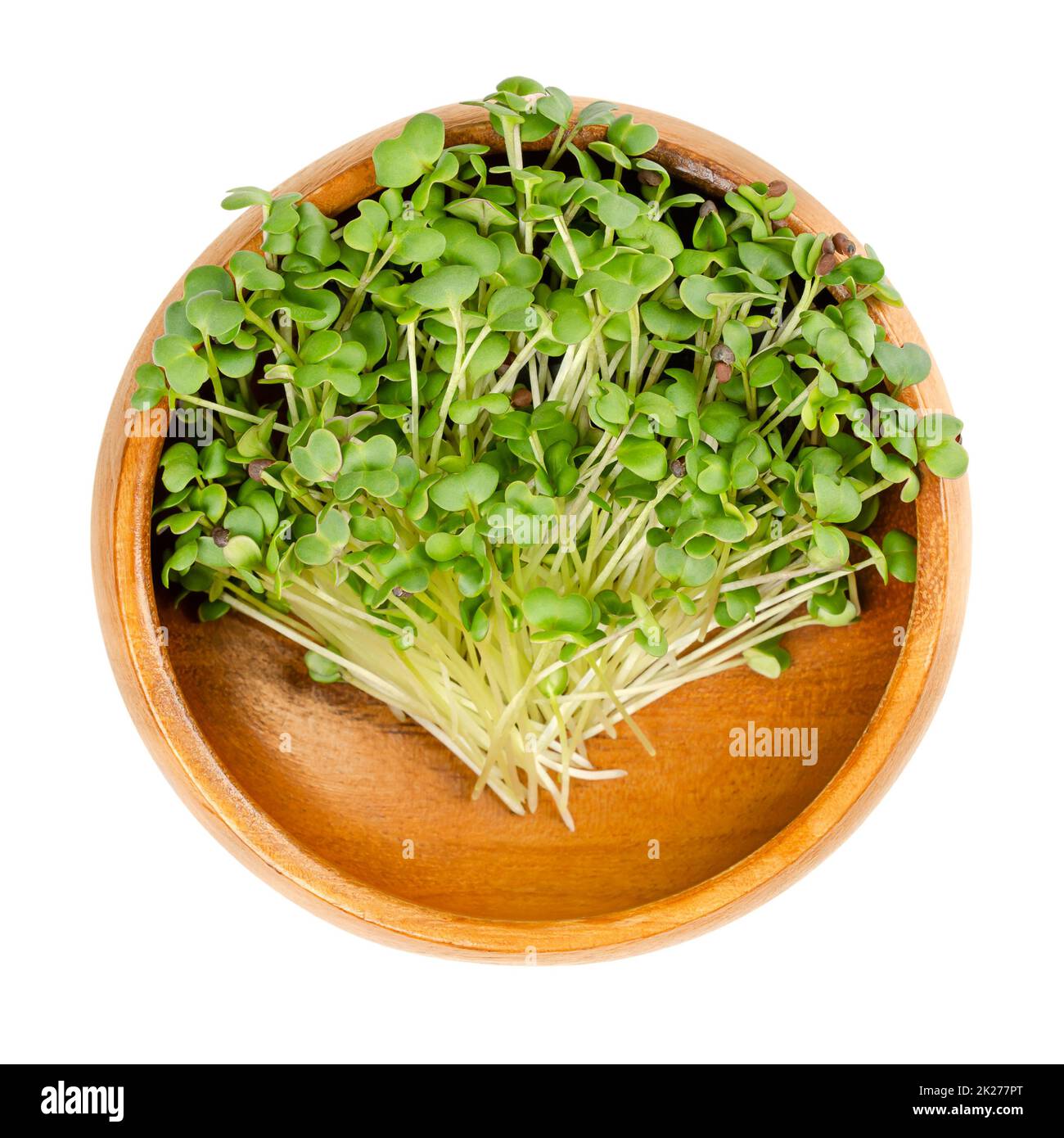 Senape nera, germogli di Brassica nigra, in ciotola di legno Foto Stock