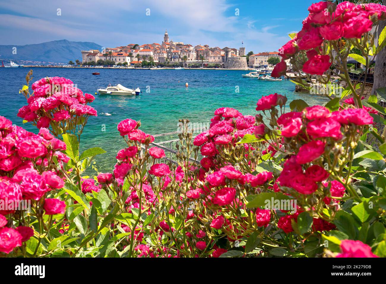 Korcula. Città storica dell'isola di Korcula vista sul mare attraverso il giardino di rose Foto Stock