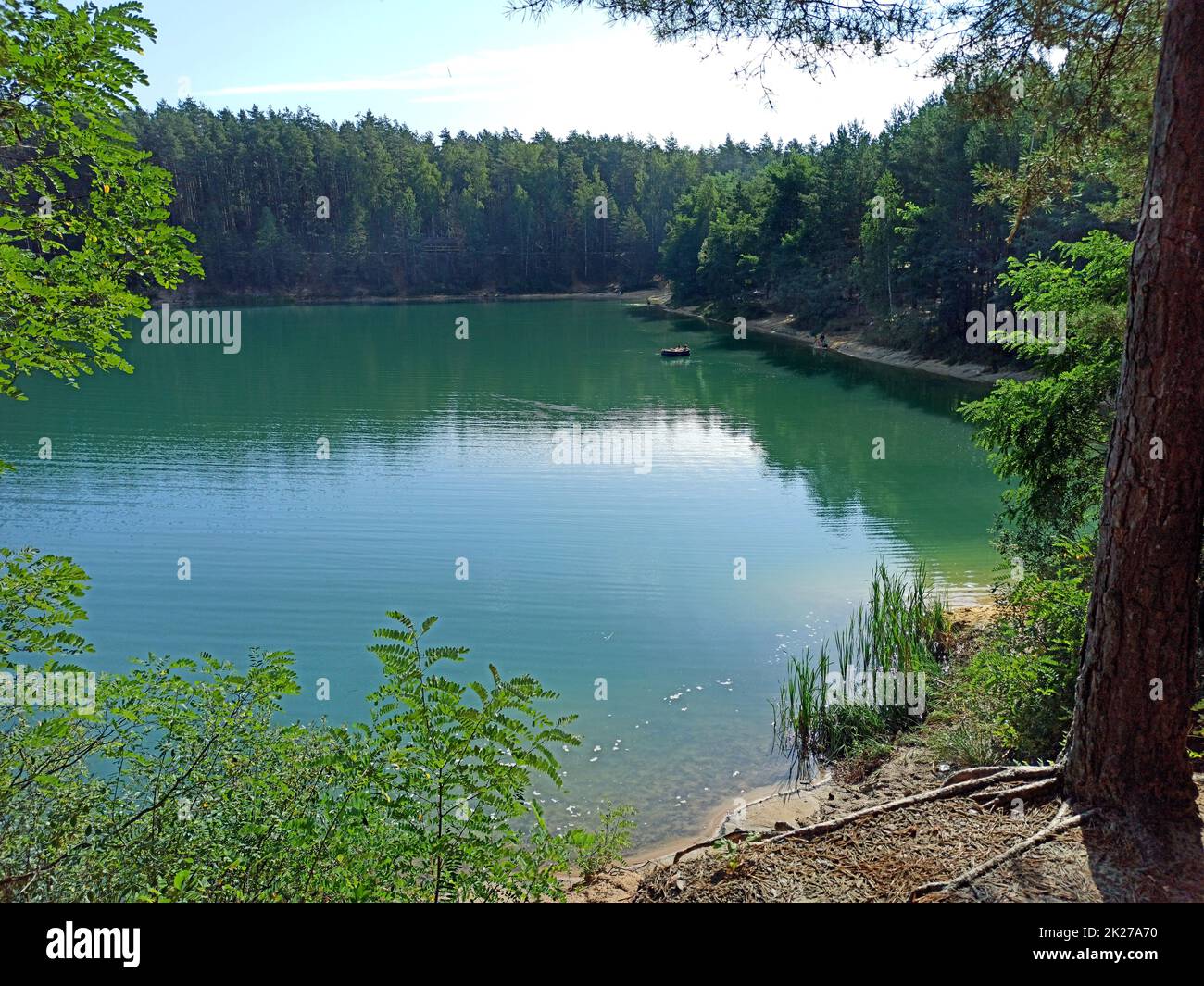 Foresta lago con acqua smeraldo. Bellissimo panorama sull'acqua Foto Stock