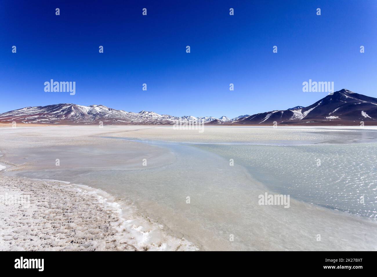 Laguna Blanca paesaggio, Bolivia Foto Stock