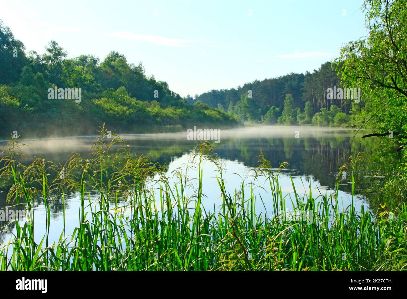 il fiume è coperto di nebbia all'alba. Foresta si riflette nel fiume in estate Foto Stock