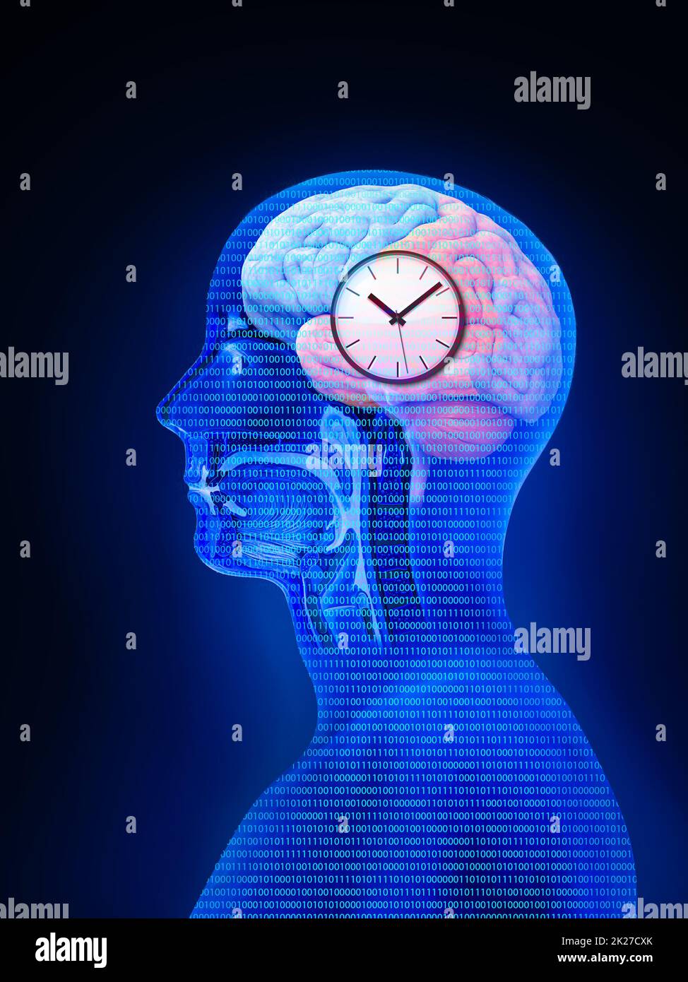 I ritmi circadiani sono controllati da orologi circadiani o orologio biologico questi orologi dicono al nostro cervello quando dormire, dire al nostro intestino quando digerire e controllare la nostra attività in diversi giorni. rendering 3d Foto Stock