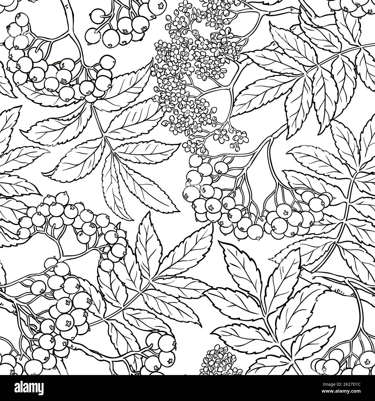 ripetizione senza giunture rowan Foto Stock