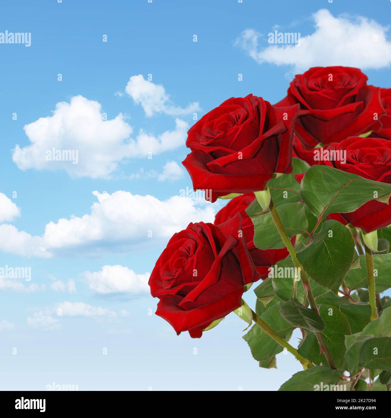 Buon San Valentino. Complimenti e sfondo romantico. Foto Stock