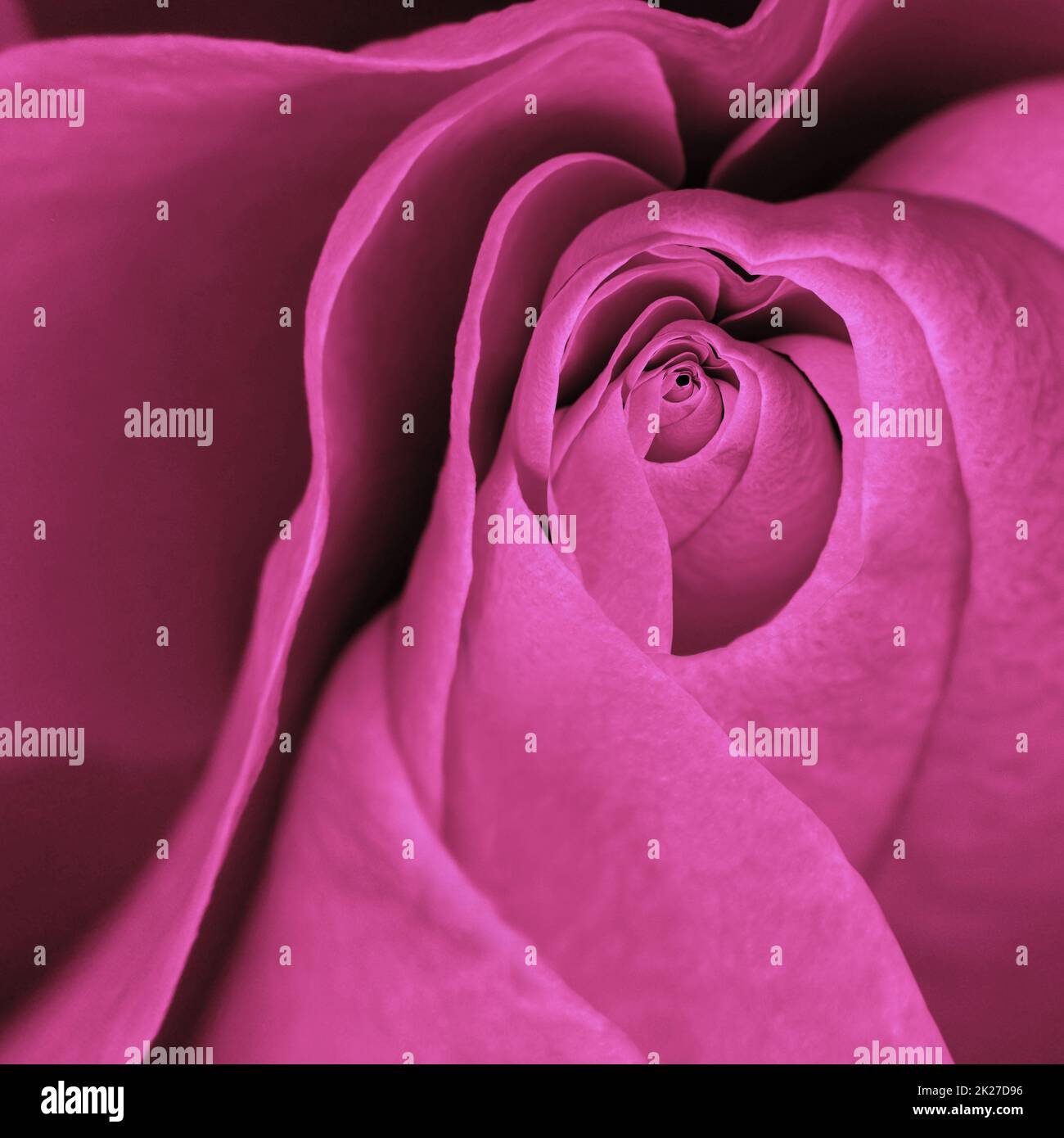 Buon San Valentino. Complimenti e sfondo romantico. Foto Stock