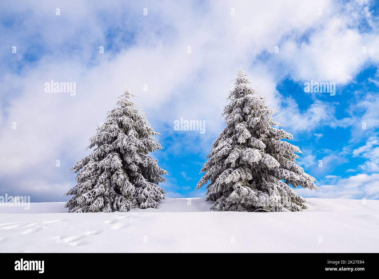 Paesaggio in inverno nella foresta di Turingia vicino Schmiedefeld am Rennsteig, Germania Foto Stock