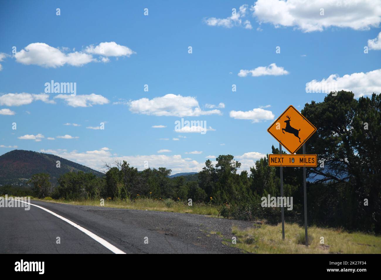 Cervi che attraversano il cartello giallo mentre si guida per le strade dell'Arizona Foto Stock