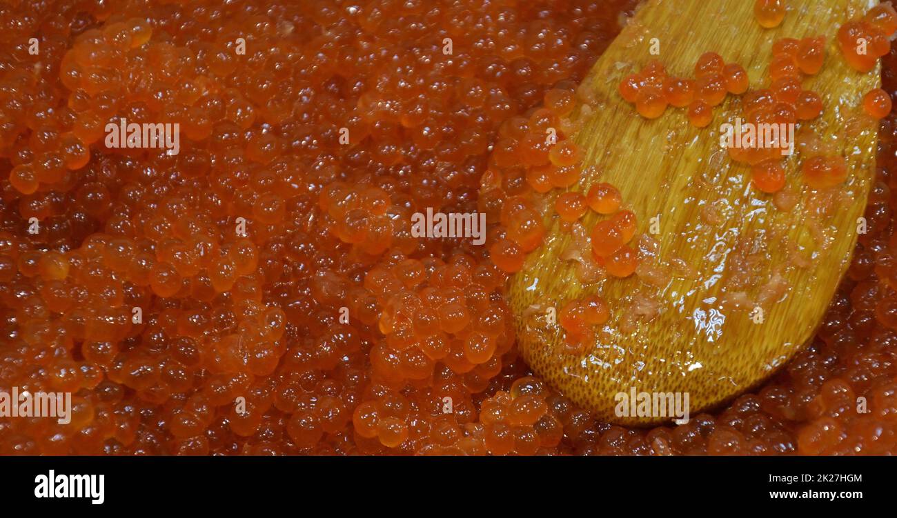 Caviale rosso di salmone chinook selvatico (latino: Oncorhynchus tschawytscha) Foto Stock