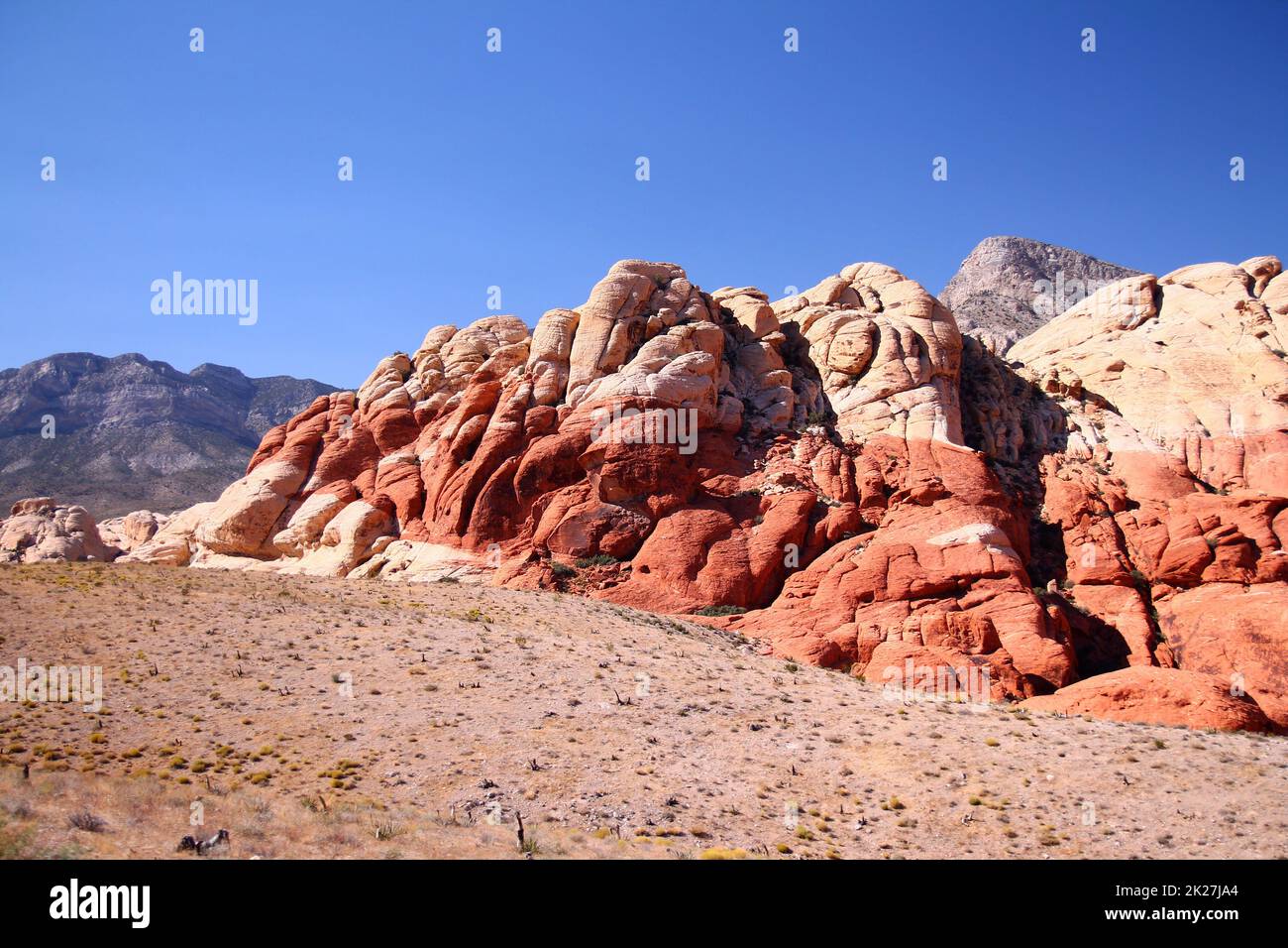 Le sfumature di rosso sui massi del Red Rock Canyon nel deserto del Nevada Foto Stock