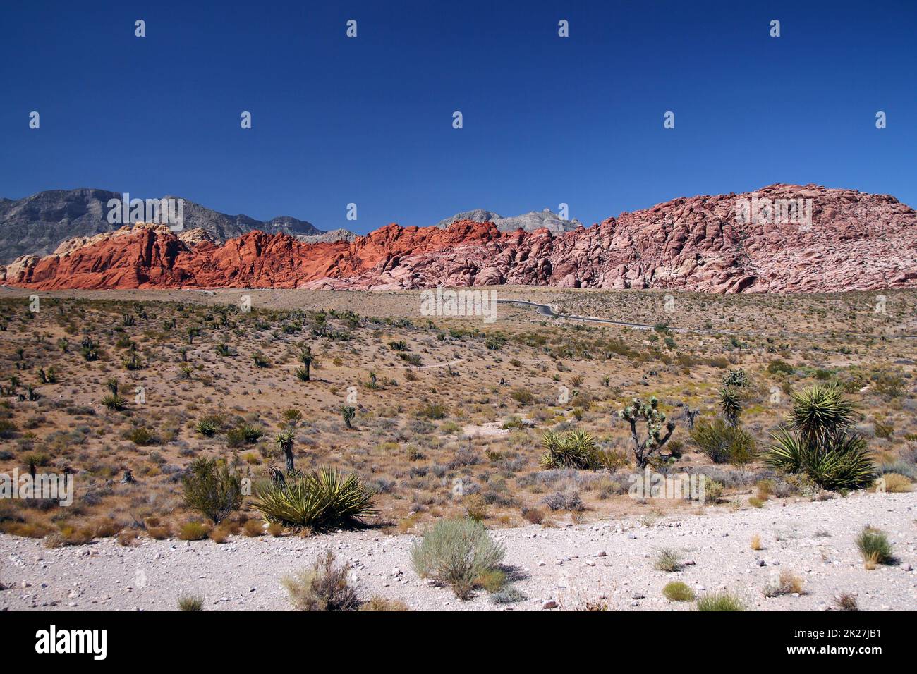 I vivaci colori rossi del Red Rock Canyon dietro il deserto Foto Stock