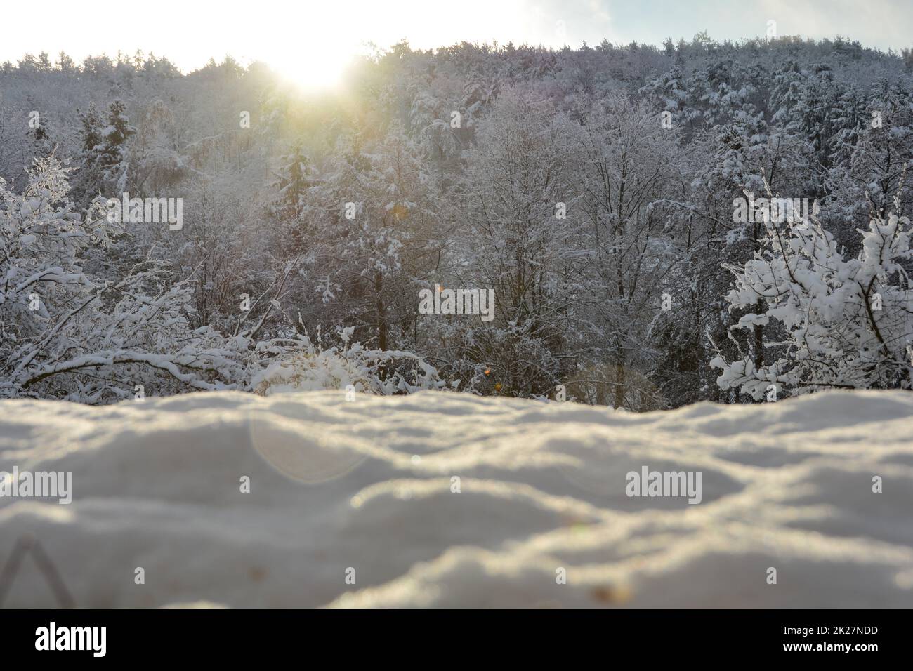 Alba sulla foresta con molta neve in primo piano Foto Stock