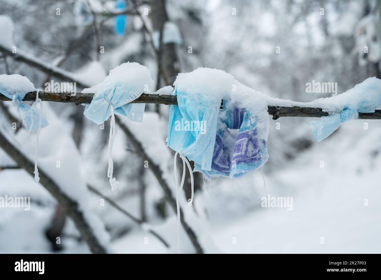 Maschere chirurgiche sugli alberi nella foresta invernale Foto Stock