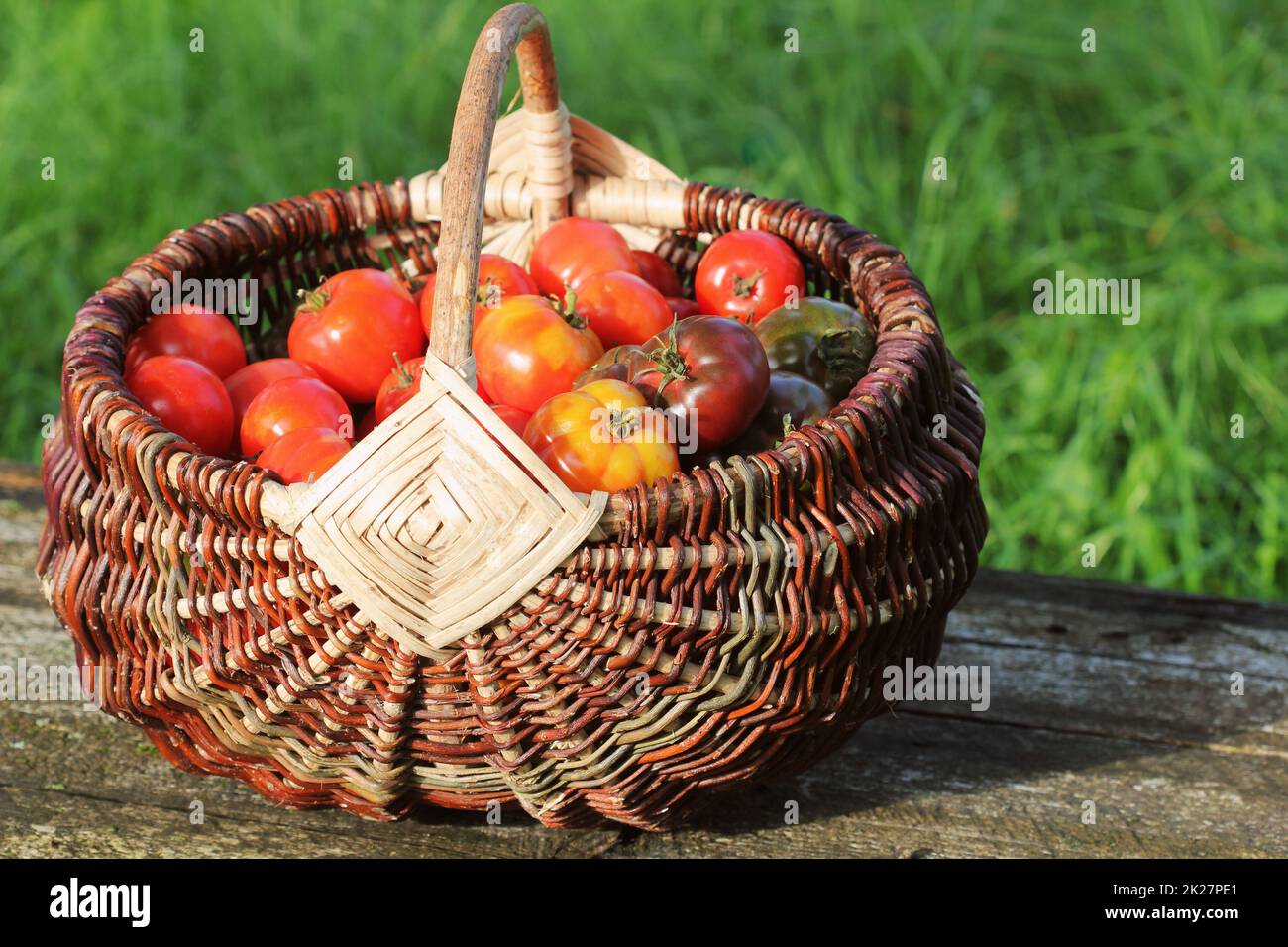 Antiche varietà di pomodori in cesti sul tavolo rustico. Pomodoro colorati - rosso,giallo all' arancio. Il raccolto vegetale concezione di cottura. Cesta piena di tometoes in sfondo verde Foto Stock