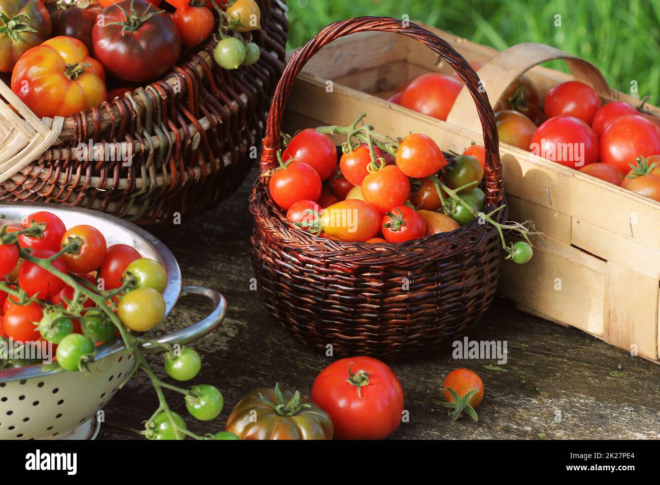 Antiche varietà di pomodori in cesti sul tavolo rustico. Pomodoro colorati - rosso,giallo all' arancio. Il raccolto vegetale concezione di cottura. Ceste piene di tometoes in sfondo verde Foto Stock